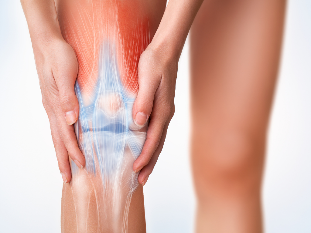 Treatment Methods and Approaches for Knee Pain in Older Adults: Evidence-Based Solutions